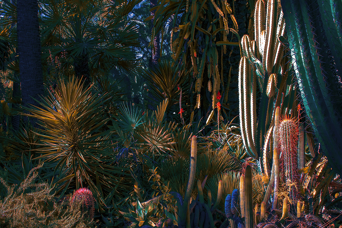 Strange Leaves, les feuilles étranges de Al Mefer Strange Leaves les feuilles etranges de Al Mefer 4 Strange-Leaves-les-feuilles-etranges-de-Al-Mefer-4