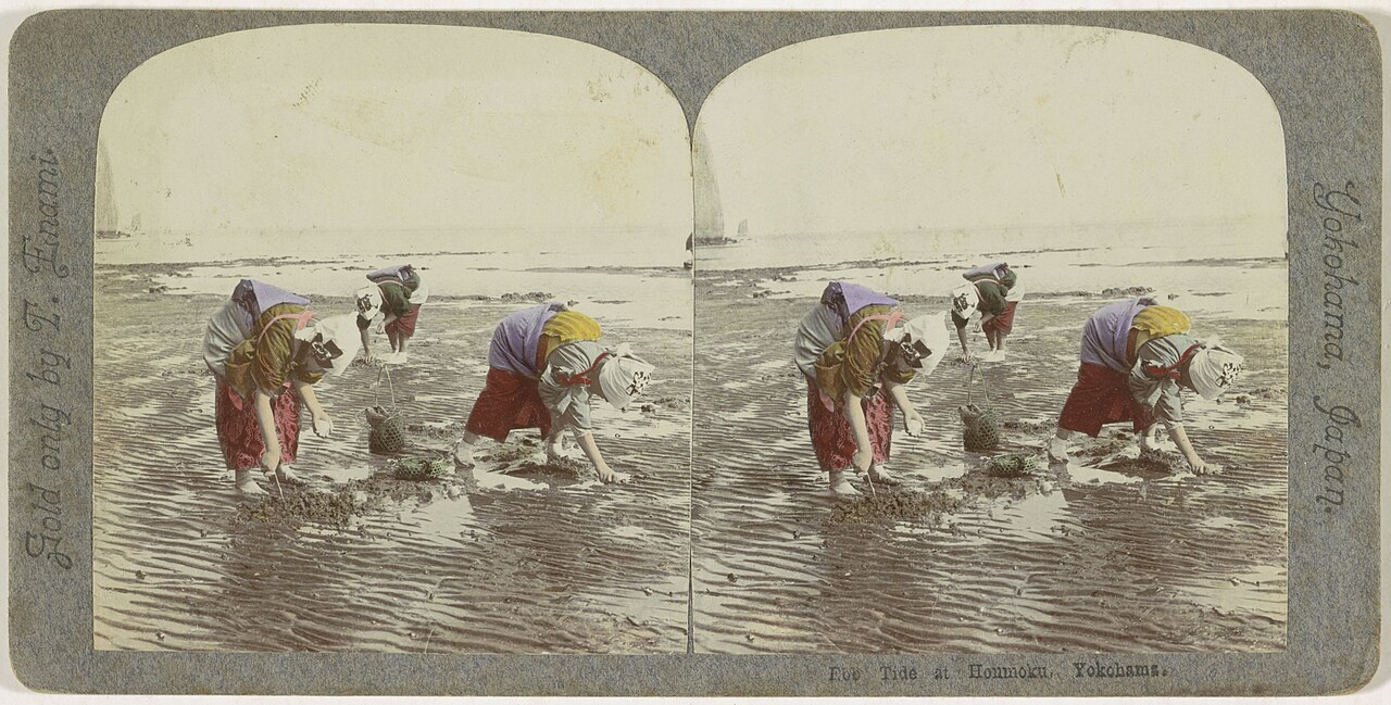 Femmes japonaises cherchant des coquillages à Honmoku vers 1900 Femmes japonaises cherchant des coquillages à Honmoku vers 1900