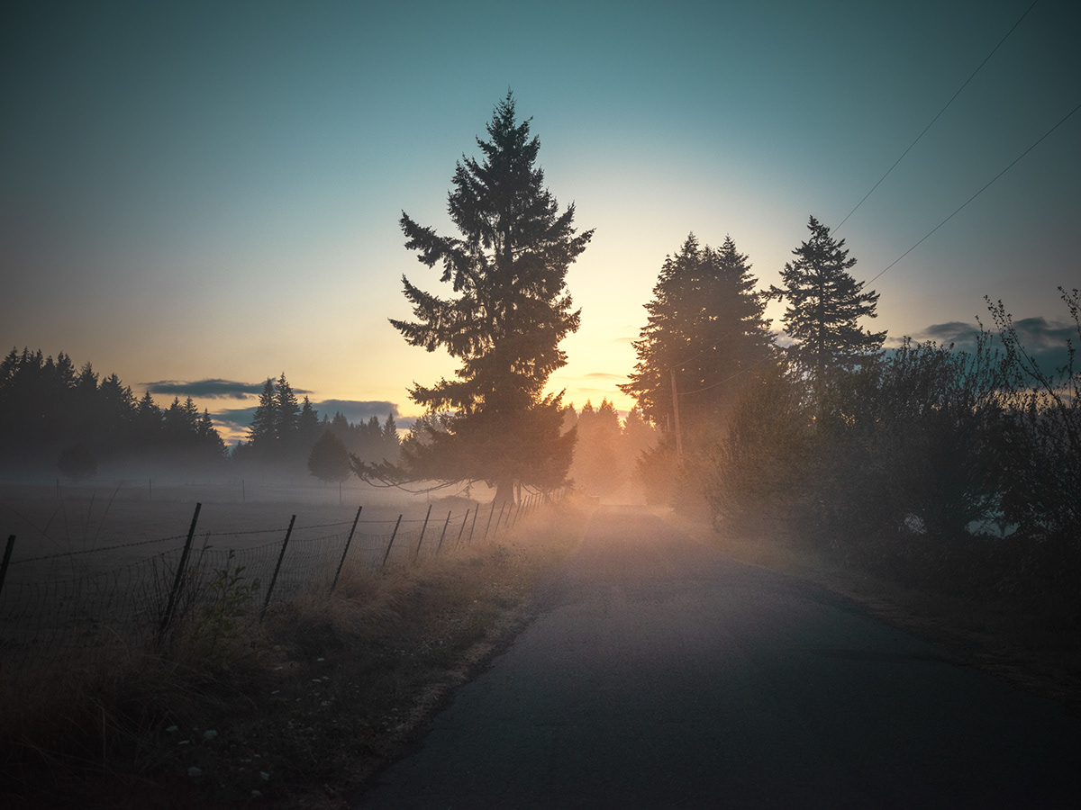 Paysages de l'Oregon par Ludwig Fabre paysages de l Oregon par Ludwig Fabre 9 paysages-de-l-Oregon-par-Ludwig-Fabre-9