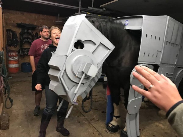 un cheval en costume AT-AT Walker pour Halloween un cheval en costume AT AT Walker pour Halloween 3 un-cheval-en-costume-AT-AT-Walker-pour-Halloween-3