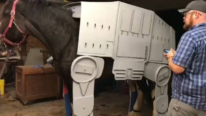 un cheval en costume AT-AT Walker pour Halloween un cheval en costume AT AT Walker pour Halloween 7 un-cheval-en-costume-AT-AT-Walker-pour-Halloween-7