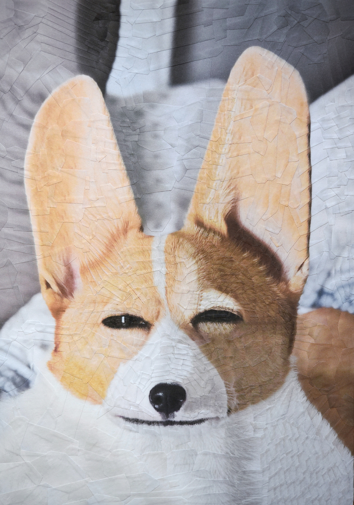 Cats and Dogs II - de nouveaux portraits surréalistes de chiens et de chats en collages par Lola Dupré Cats and DogsII de nouveaux portraits surrealistes de chiens et de chats en collages par Lola Dupre 3 Cats-and-DogsII-de-nouveaux-portraits-surrealistes-de-chiens-et-de-chats-en-collages-par-Lola-Dupre-3