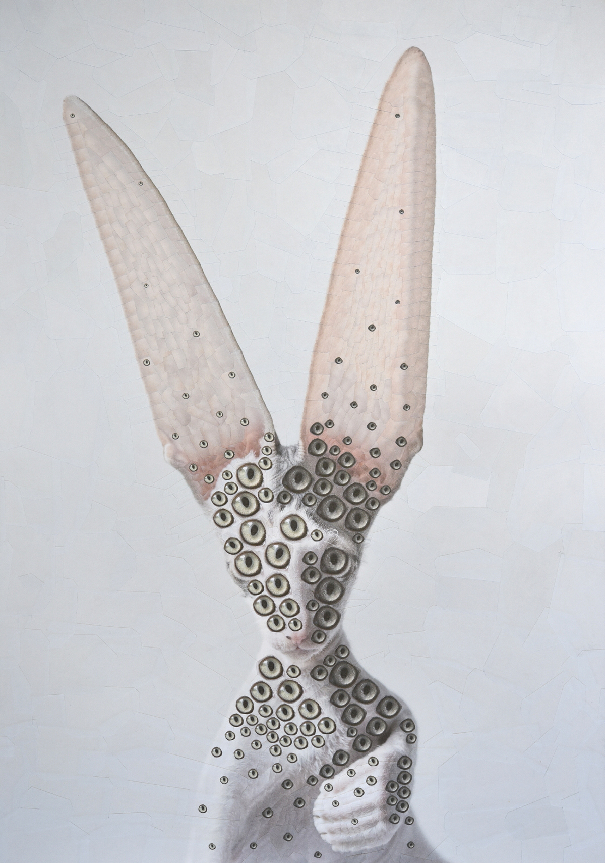 Cats and Dogs II - de nouveaux portraits surréalistes de chiens et de chats en collages par Lola Dupré Cats and DogsII de nouveaux portraits surrealistes de chiens et de chats en collages par Lola Dupre 4 Cats-and-DogsII-de-nouveaux-portraits-surrealistes-de-chiens-et-de-chats-en-collages-par-Lola-Dupre-4