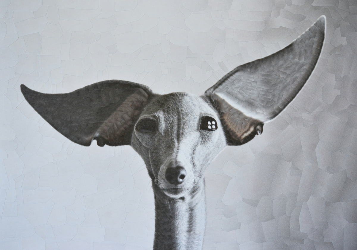 Cats and Dogs II - de nouveaux portraits surréalistes de chiens et de chats en collages par Lola Dupré Cats and DogsII de nouveaux portraits surrealistes de chiens et de chats en collages par Lola Dupre 6 Cats-and-DogsII-de-nouveaux-portraits-surrealistes-de-chiens-et-de-chats-en-collages-par-Lola-Dupre-6