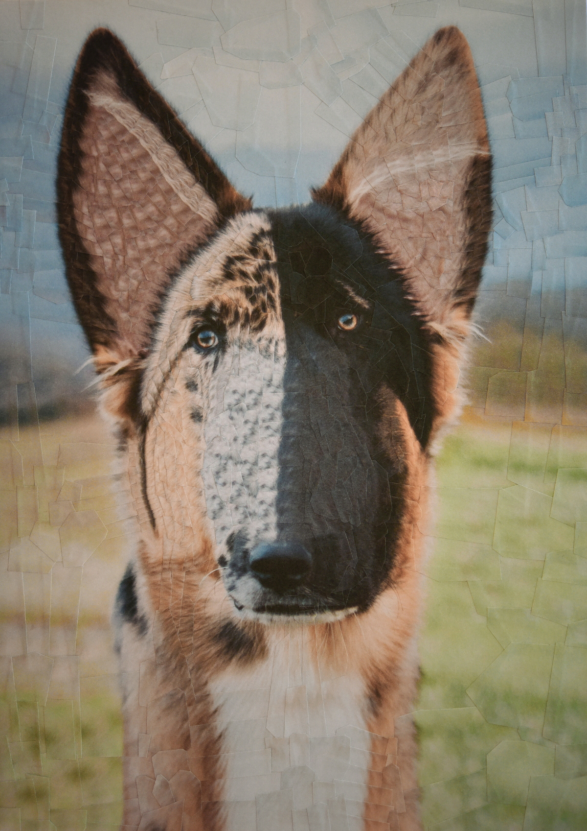 Cats and Dogs II - de nouveaux portraits surréalistes de chiens et de chats en collages par Lola Dupré Cats and DogsII de nouveaux portraits surrealistes de chiens et de chats en collages par Lola Dupre 8 Cats-and-DogsII-de-nouveaux-portraits-surrealistes-de-chiens-et-de-chats-en-collages-par-Lola-Dupre-8