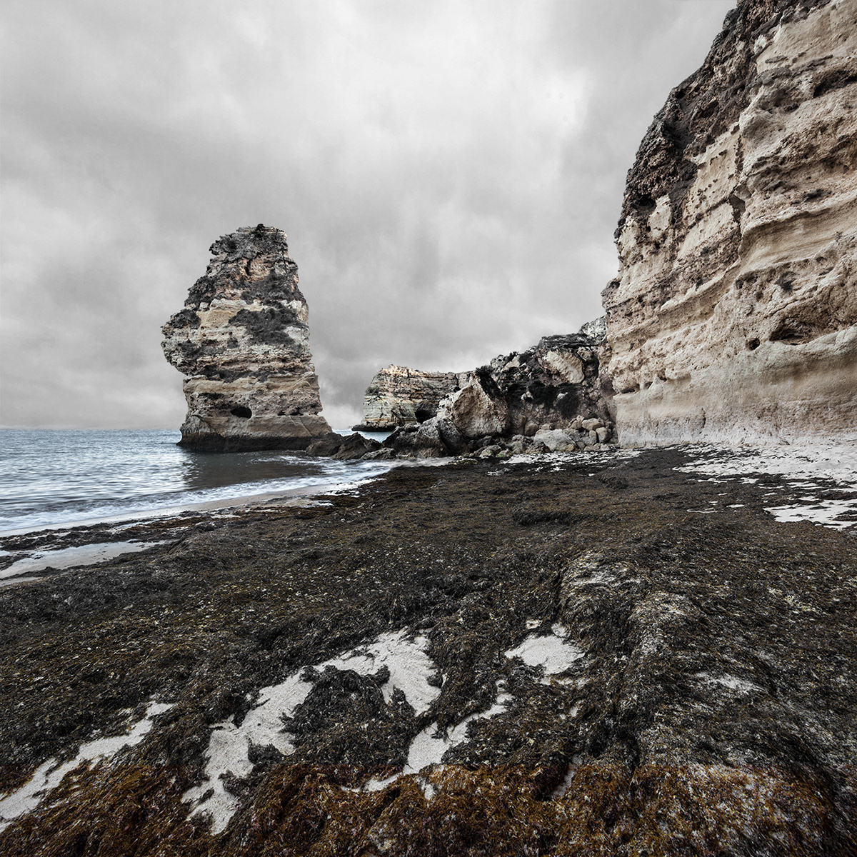 Natu.rae VII – de nouvelles magnifiques photos de nature par Gustav Willeit Natu rae VII–de nouvelles magnifiques photos de nature par Gustav Willeit 10 Natu-rae-VII–de-nouvelles-magnifiques-photos-de-nature-par-Gustav-Willeit-10