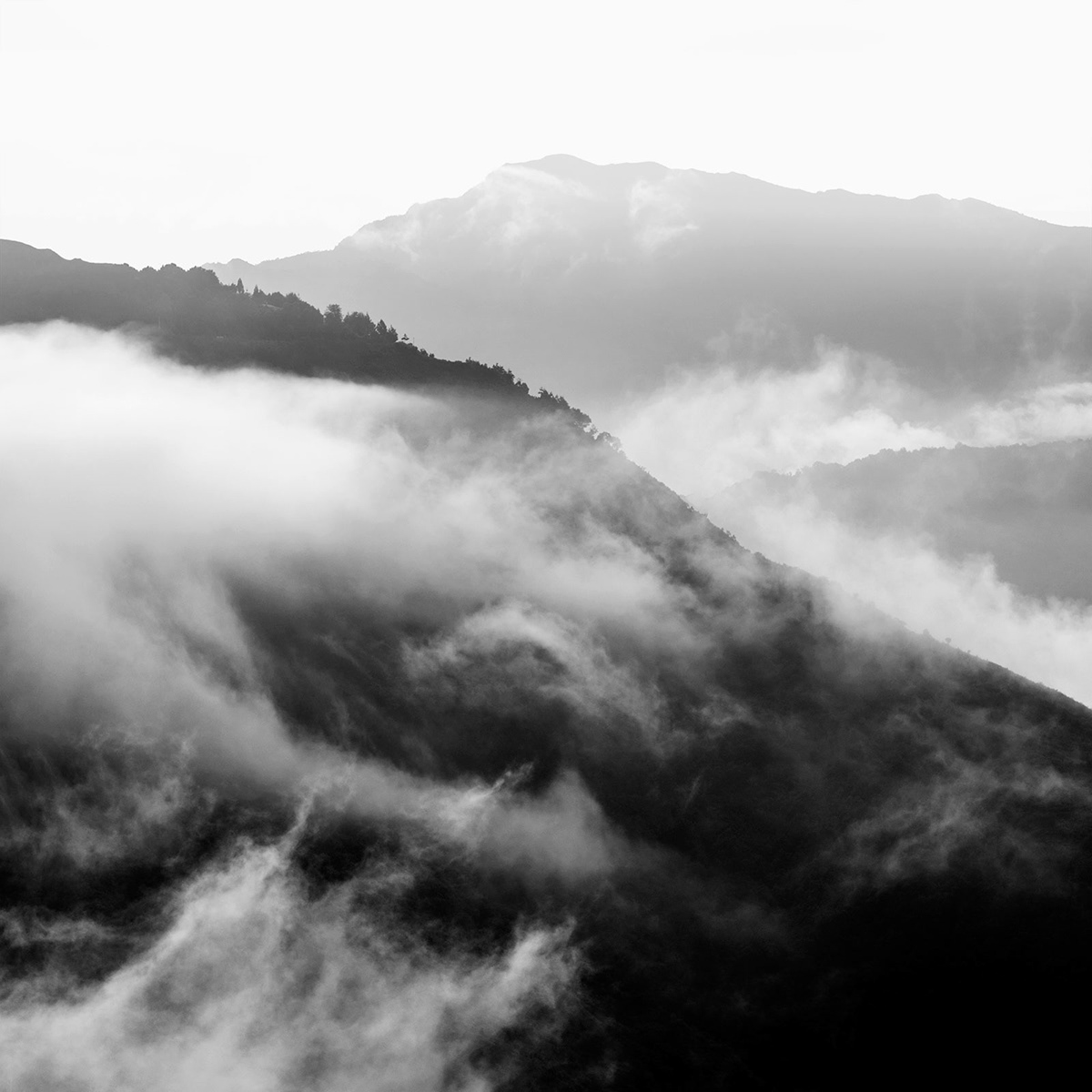 Natu.rae VII – de nouvelles magnifiques photos de nature par Gustav Willeit Natu rae VII–de nouvelles magnifiques photos de nature par Gustav Willeit 12 Natu-rae-VII–de-nouvelles-magnifiques-photos-de-nature-par-Gustav-Willeit-12