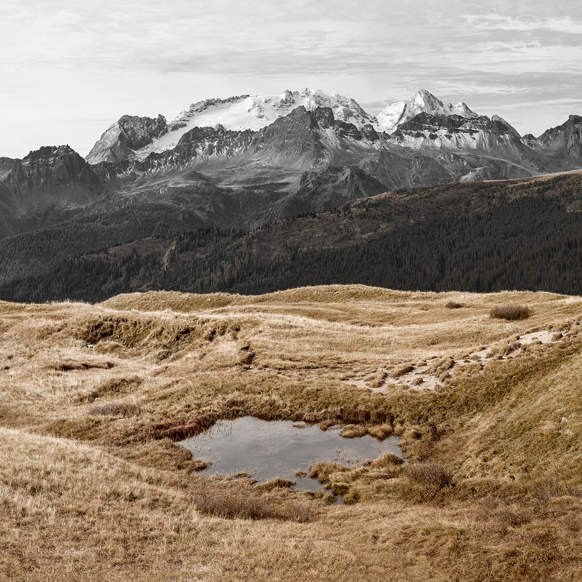 Natu.rae VII – de nouvelles magnifiques photos de nature par Gustav Willeit Natu rae VII–de nouvelles magnifiques photos de nature par Gustav Willeit 2 Natu-rae-VII–de-nouvelles-magnifiques-photos-de-nature-par-Gustav-Willeit-2