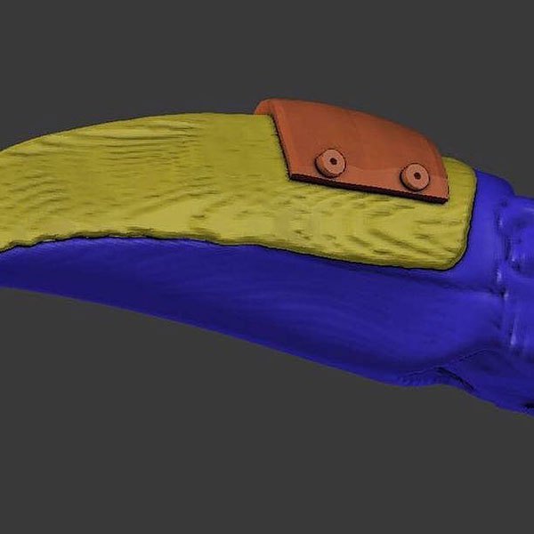 Un nouveau bec en impression 3D pour un toucan blessé Un nouveau bec en impression 3D pour un toucan blesse 5 Un-nouveau-bec-en-impression-3D-pour-un-toucan-blesse-5