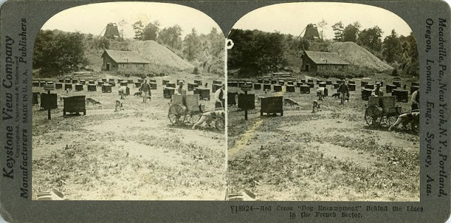 des photos en stéréographie de la première guerre mondiale des photos en stereographie de la premiere guerre mondiale 19 des-photos-en-stereographie-de-la-premiere-guerre-mondiale-19