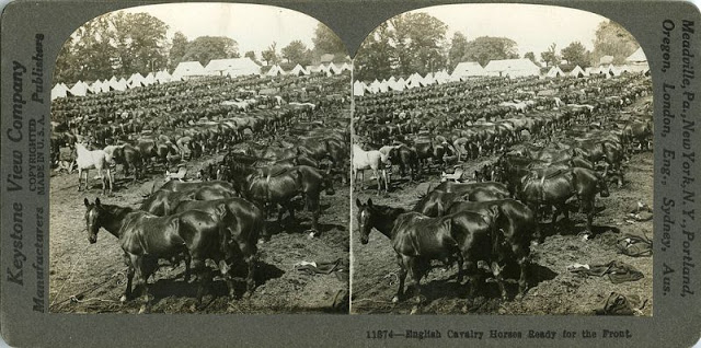 des photos en stéréographie de la première guerre mondiale des photos en stereographie de la premiere guerre mondiale 59 des-photos-en-stereographie-de-la-premiere-guerre-mondiale-59