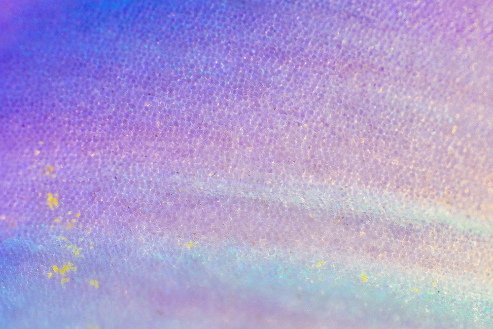 Granular creatures - des végétaux aux ultra-violets par Slava Semeniuta Granular creatures des vegetaux aux ultra violets par Slava Semeniuta 4 Granular-creatures-des-vegetaux-aux-ultra-violets-par-Slava-Semeniuta-4