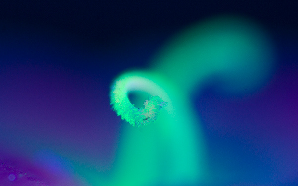 Granular creatures - des végétaux aux ultra-violets par Slava Semeniuta Granular creatures des vegetaux aux ultra violets par Slava Semeniuta 7 Granular-creatures-des-vegetaux-aux-ultra-violets-par-Slava-Semeniuta-7