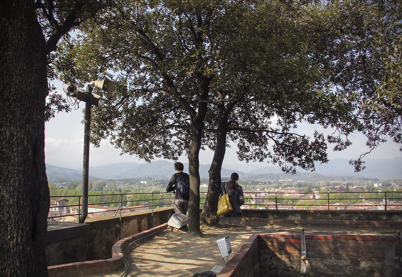 L'insolite tour Guinigi à Lucques en Toscane L insolite tour Guinigi a Lucques en Toscane italie 10 L-insolite-tour-Guinigi-a-Lucques-en-Toscane-italie-10