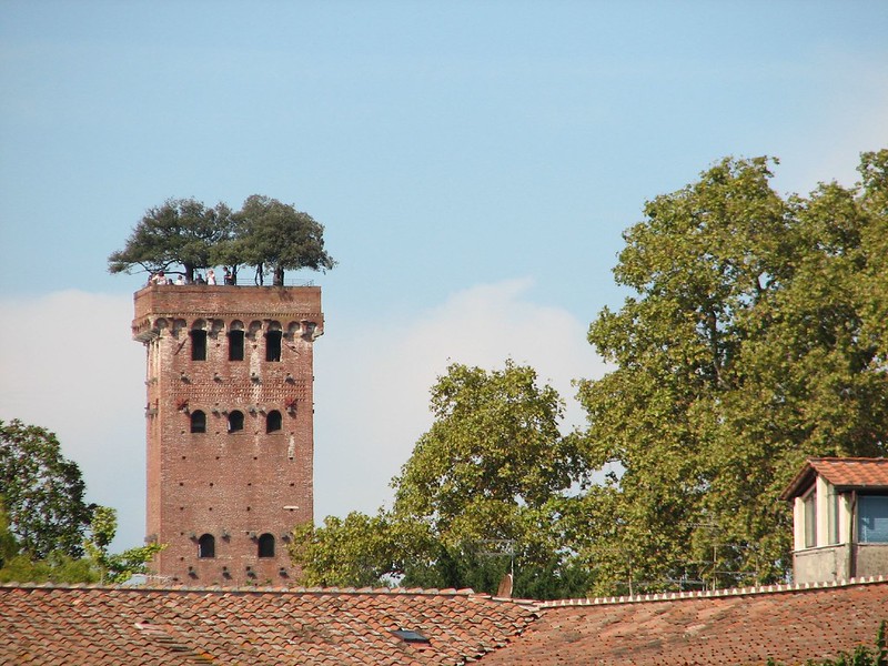 L'insolite tour Guinigi à Lucques en Toscane L insolite tour Guinigi a Lucques en Toscane italie 3 L-insolite-tour-Guinigi-a-Lucques-en-Toscane-italie-3