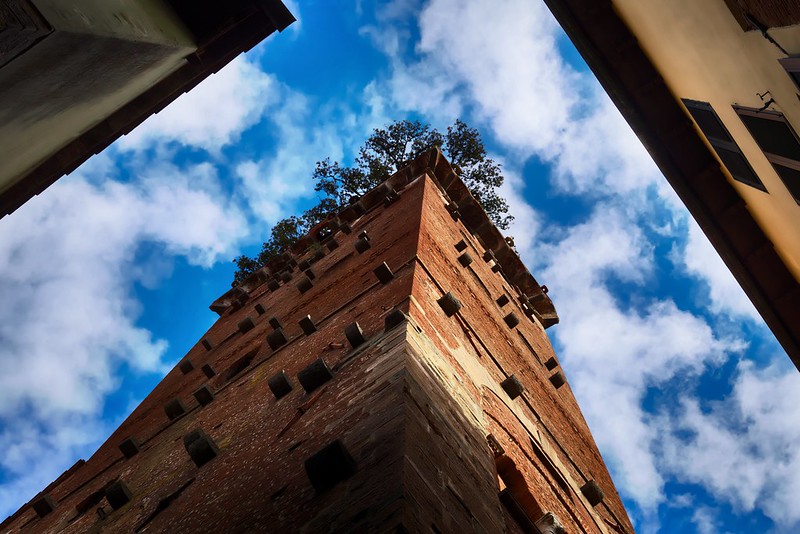 L'insolite tour Guinigi à Lucques en Toscane L insolite tour Guinigi a Lucques en Toscane italie 6 L-insolite-tour-Guinigi-a-Lucques-en-Toscane-italie-6