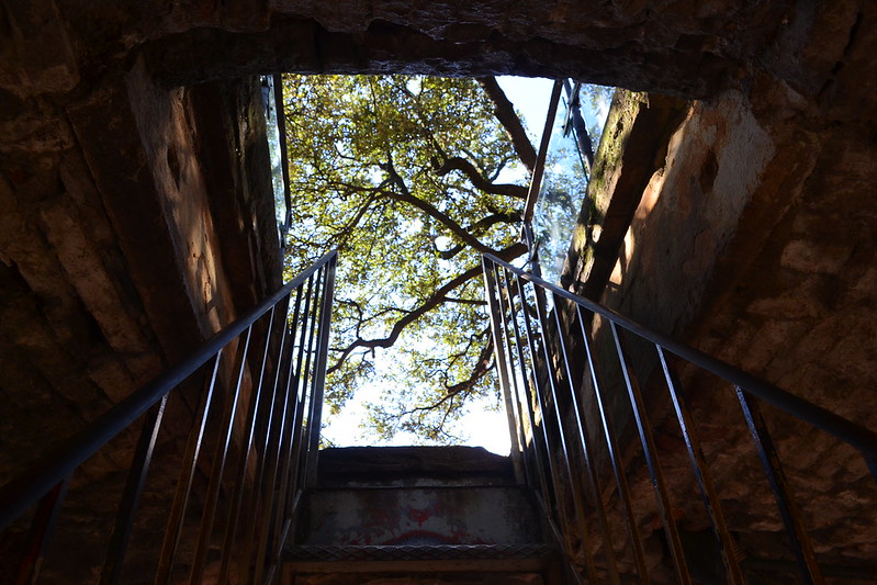 L'insolite tour Guinigi à Lucques en Toscane L insolite tour Guinigi a Lucques en Toscane italie 9 L-insolite-tour-Guinigi-a-Lucques-en-Toscane-italie-9