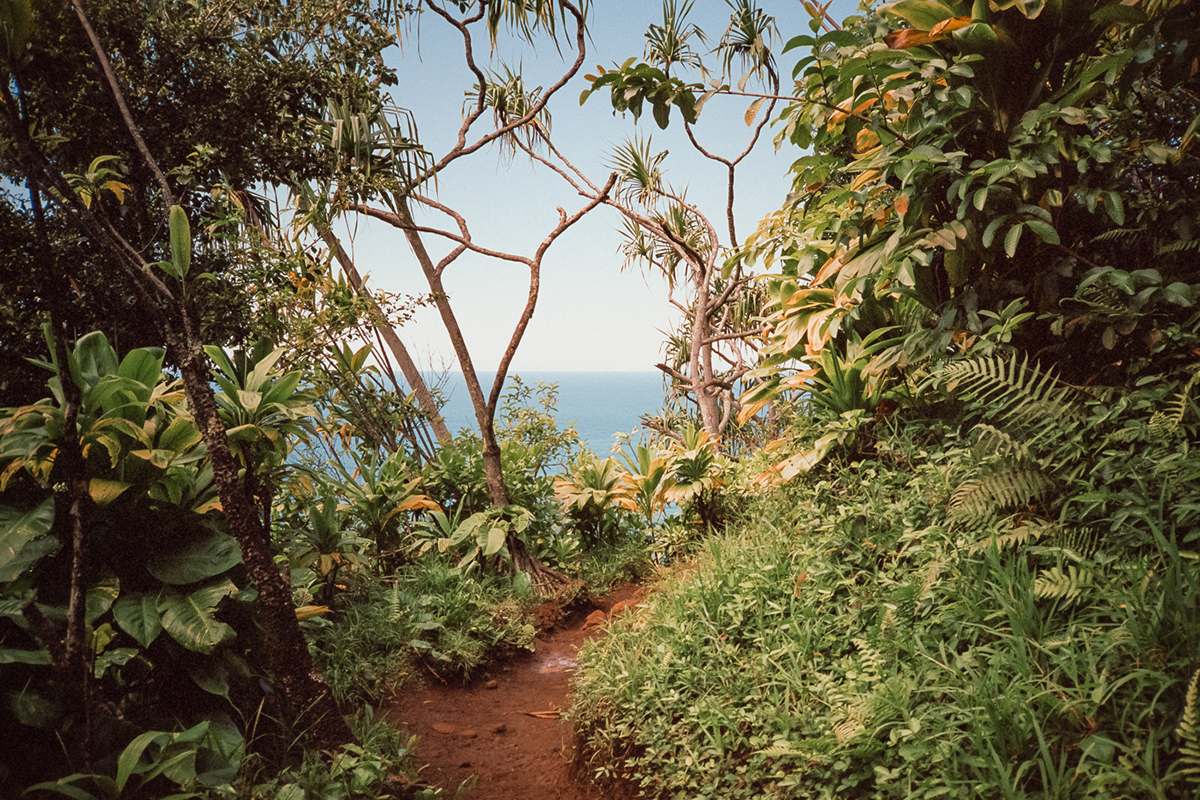 La beauté de la nature sauvage des îles de Hawaï par Cody Cobb La beaute de la nature sauvage des iles de Hawai par Cody Cobb 1 La-beaute-de-la-nature-sauvage-des-iles-de-Hawai-par-Cody-Cobb-1