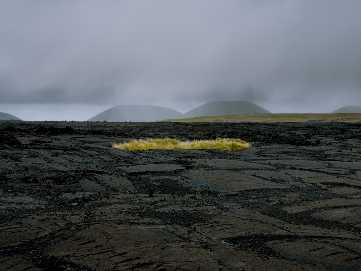 La beauté de la nature sauvage des îles de Hawaï par Cody Cobb La beaute de la nature sauvage des iles de Hawai par Cody Cobb 13 La-beaute-de-la-nature-sauvage-des-iles-de-Hawai-par-Cody-Cobb-13