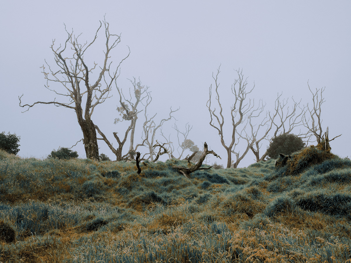 La beauté de la nature sauvage des îles de Hawaï par Cody Cobb La beaute de la nature sauvage des iles de Hawai par Cody Cobb 15 La-beaute-de-la-nature-sauvage-des-iles-de-Hawai-par-Cody-Cobb-15