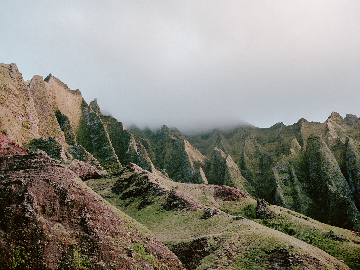 La beauté de la nature sauvage des îles de Hawaï par Cody Cobb La beaute de la nature sauvage des iles de Hawai par Cody Cobb 4 La-beaute-de-la-nature-sauvage-des-iles-de-Hawai-par-Cody-Cobb-4