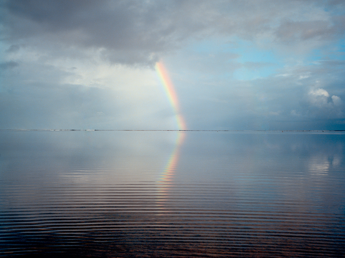 La beauté de la nature sauvage des îles de Hawaï par Cody Cobb La beaute de la nature sauvage des iles de Hawai par Cody Cobb 6 La-beaute-de-la-nature-sauvage-des-iles-de-Hawai-par-Cody-Cobb-6