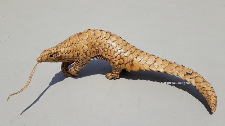 Les incroyables sculptures de carton de Kai-Xiang Zhong Les incroyables sculptures de carton de Kai Xiang Zhong 6 Les-incroyables-sculptures-de-carton-de-Kai-Xiang-Zhong-6