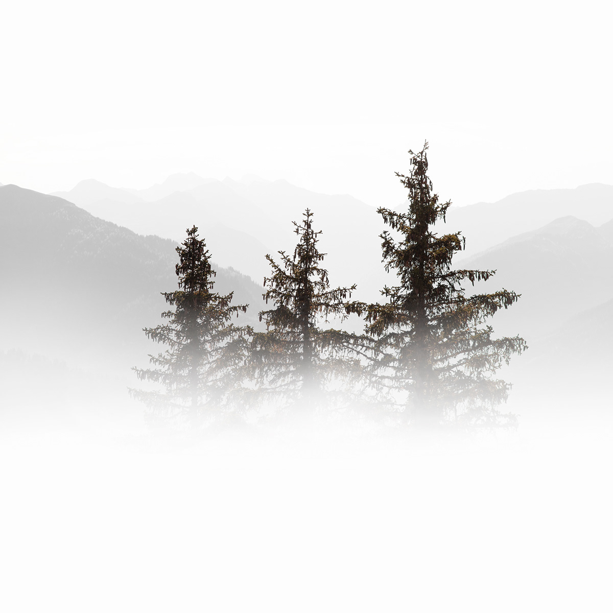 Natu.rae VIII – de nouvelles magnifiques photos de nature par Gustav Willeit Natu rae VIII–de nouvelles magnifiques photos de nature par Gustav Willeit 5 Natu-rae-VIII–de-nouvelles-magnifiques-photos-de-nature-par-Gustav-Willeit-5