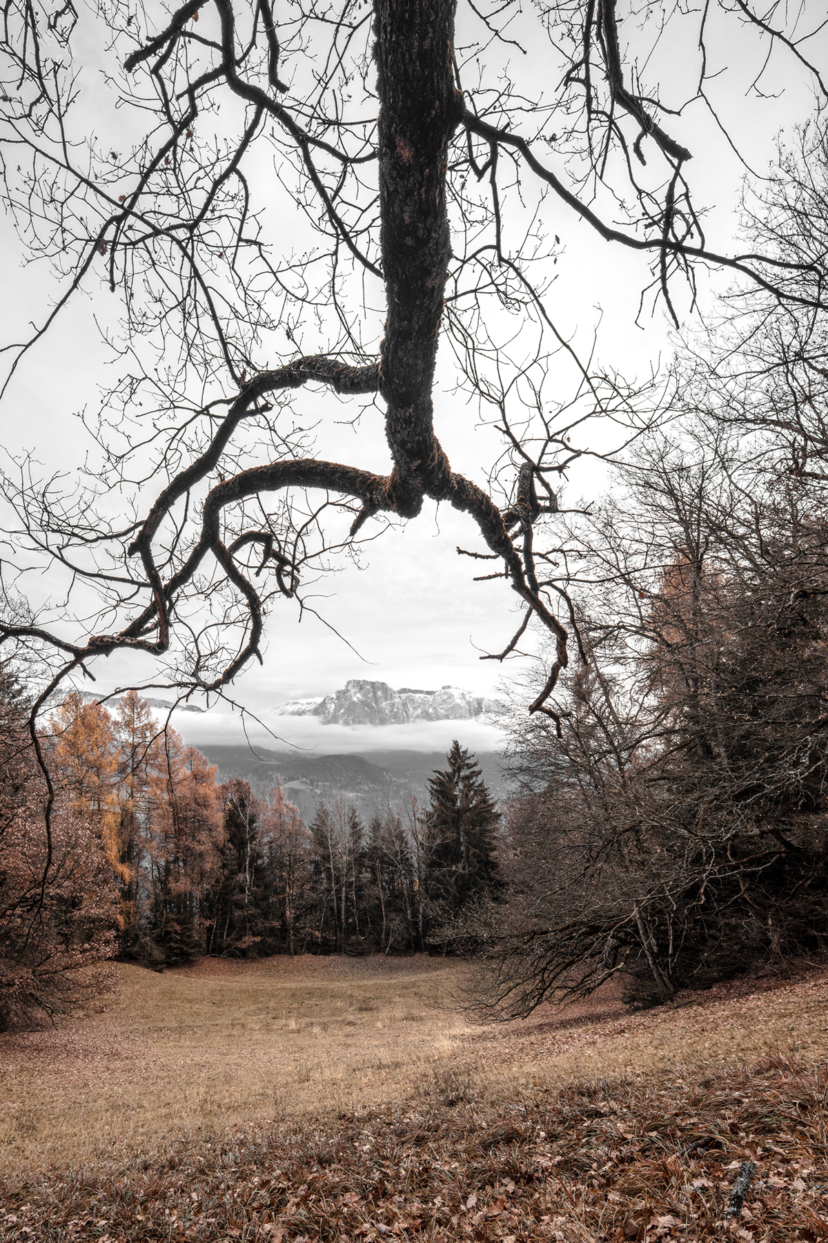 Natu.rae VIII – de nouvelles magnifiques photos de nature par Gustav Willeit Natu rae VIII–de nouvelles magnifiques photos de nature par Gustav Willeit 9 Natu-rae-VIII–de-nouvelles-magnifiques-photos-de-nature-par-Gustav-Willeit-9