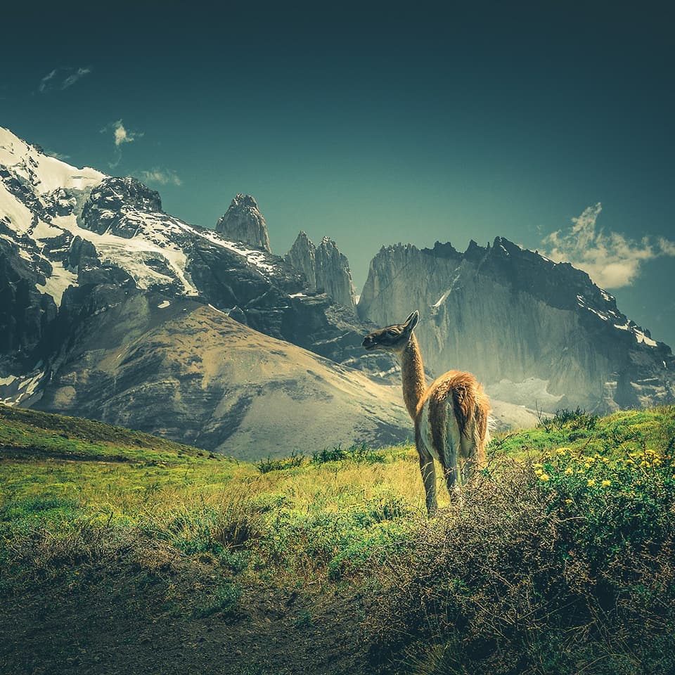 Sam Grafixart_photo magnifie la nature Sam Graphixart magnifie la nature 9 Sam-Graphixart-magnifie-la-nature-9