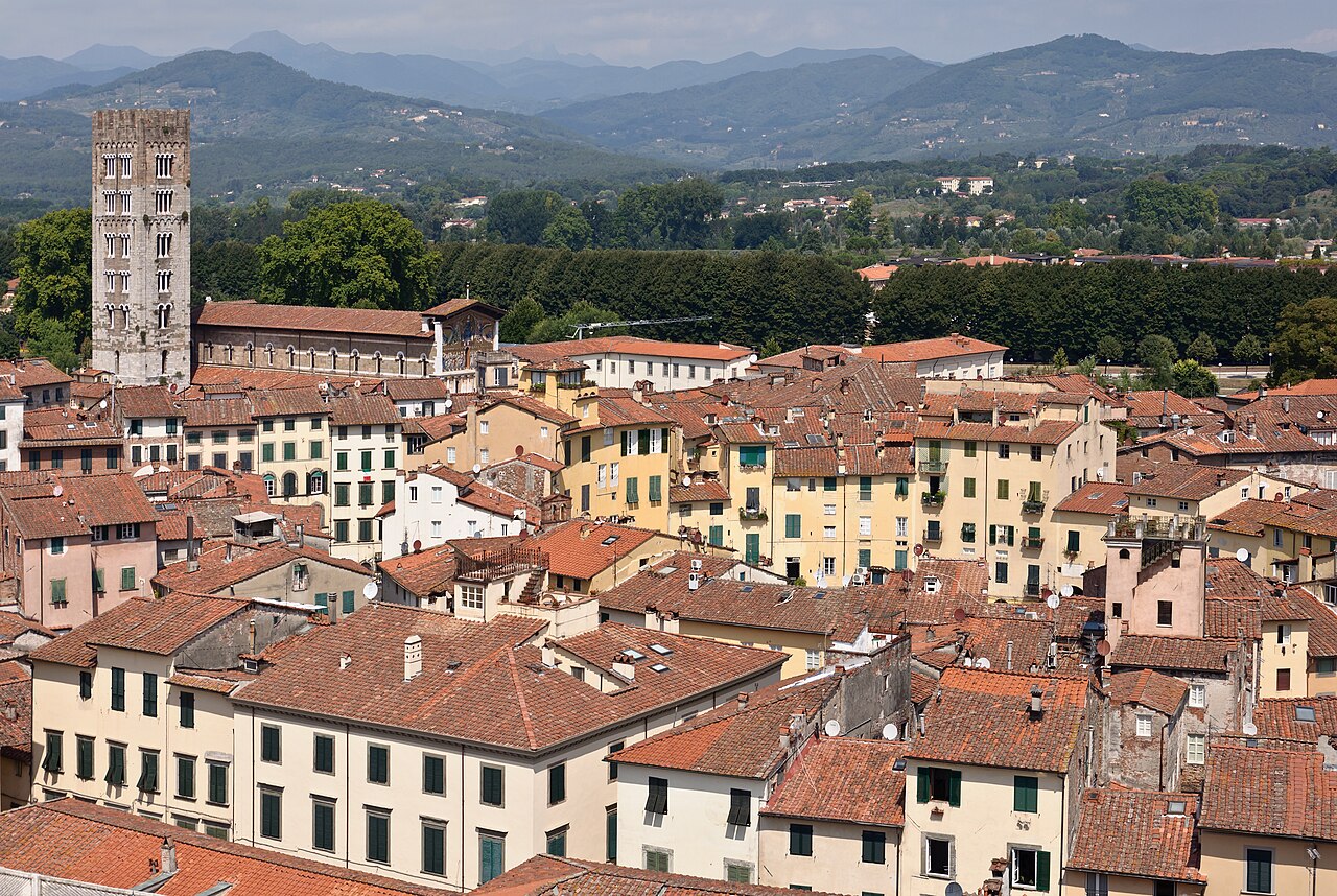 Panorama sur les toits de Lucques depuis la Tour Guinigi Panorama sur les toits de Lucques depuis la Tour Guinigi