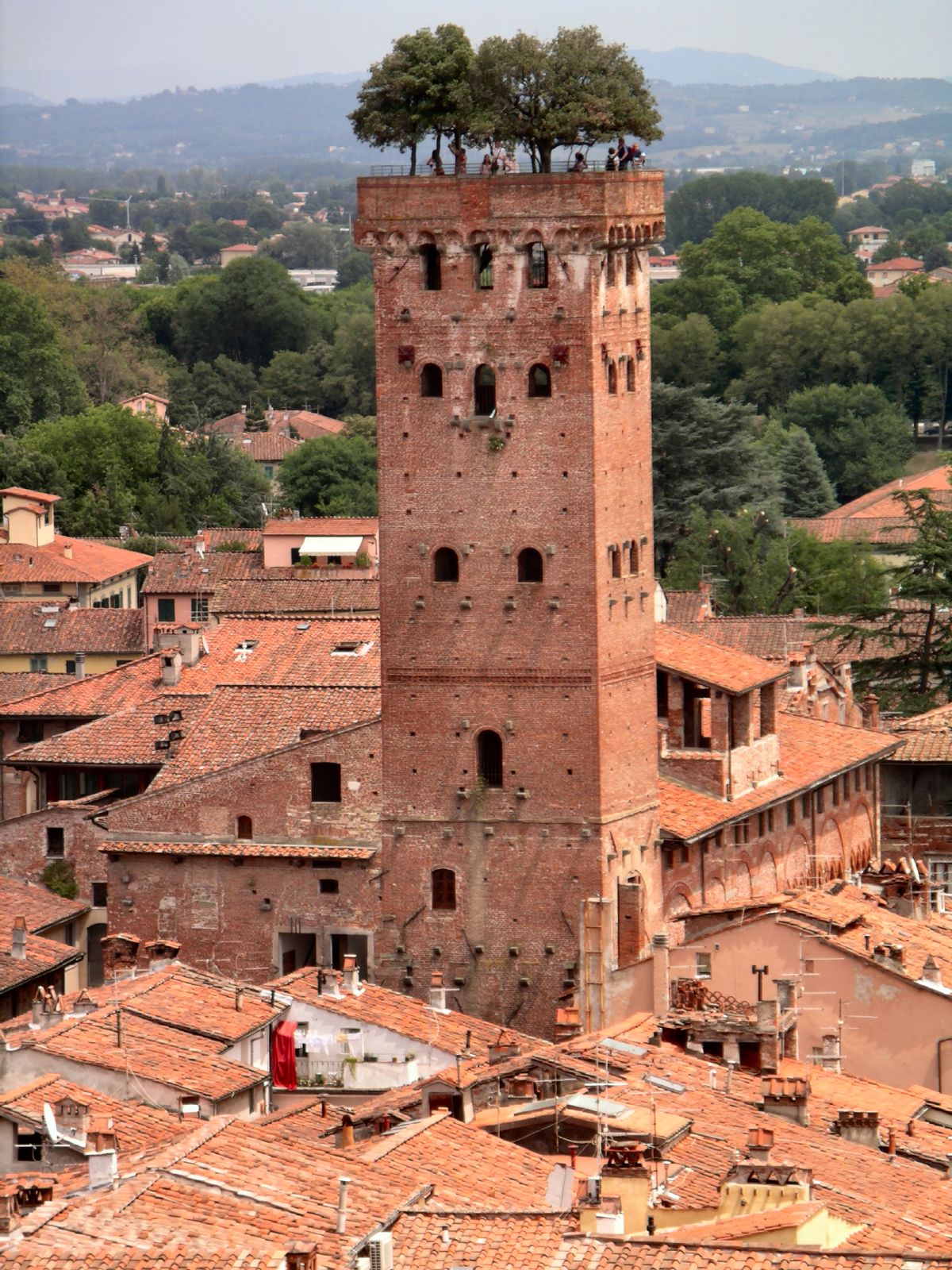 tour Guinigi a Lucques en Toscane italie tour Guinigi a Lucques en Toscane italie