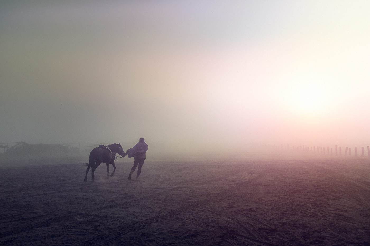 Bromo: brume, chevaux et cavaliers par Maurice Heesen Bromo brume chevaux et cavaliers par Maurice Heesen 2 Bromo-brume-chevaux-et-cavaliers-par-Maurice-Heesen-2