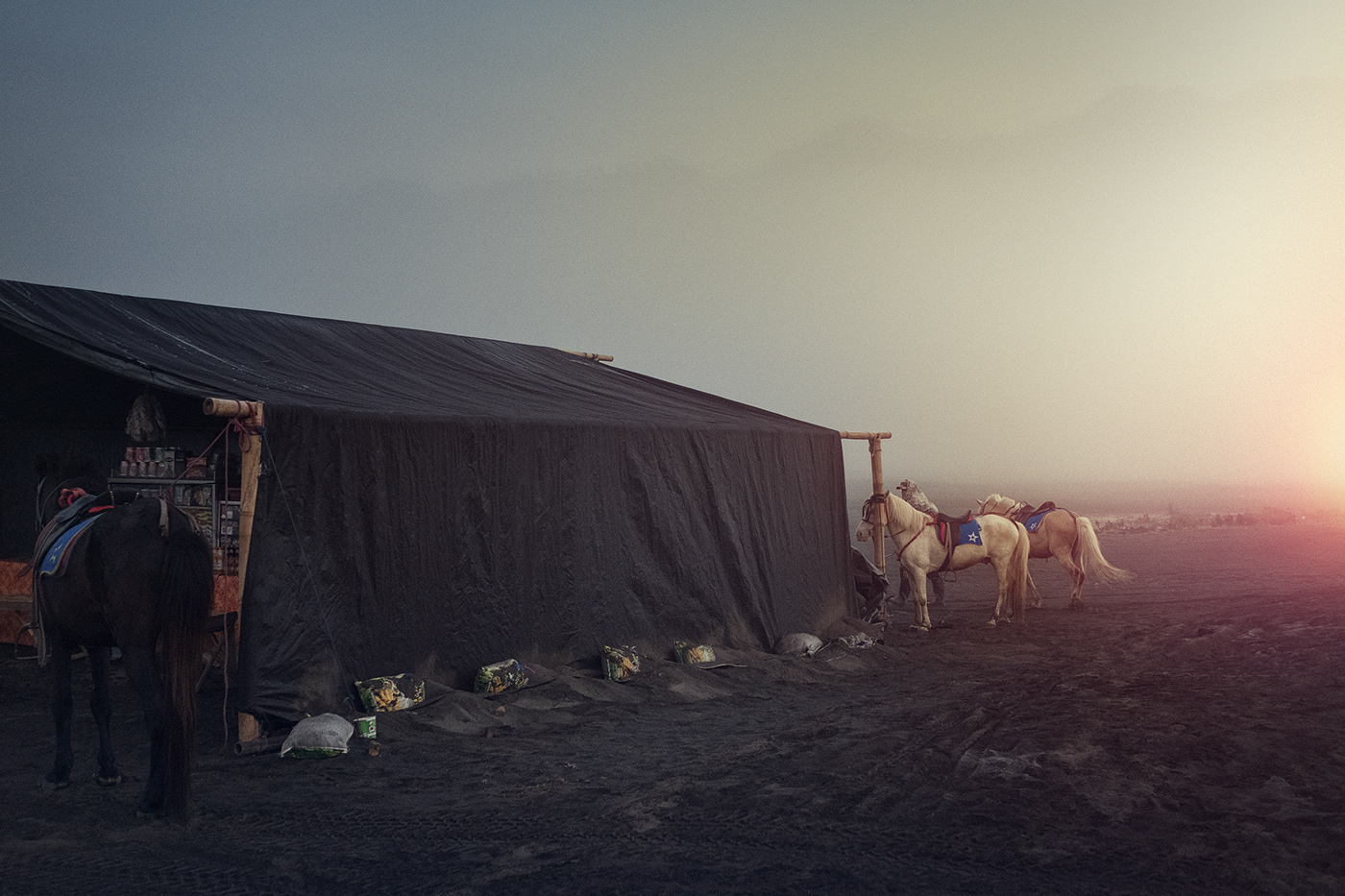 Bromo: brume, chevaux et cavaliers par Maurice Heesen Bromo brume chevaux et cavaliers par Maurice Heesen 3 Bromo-brume-chevaux-et-cavaliers-par-Maurice-Heesen-3