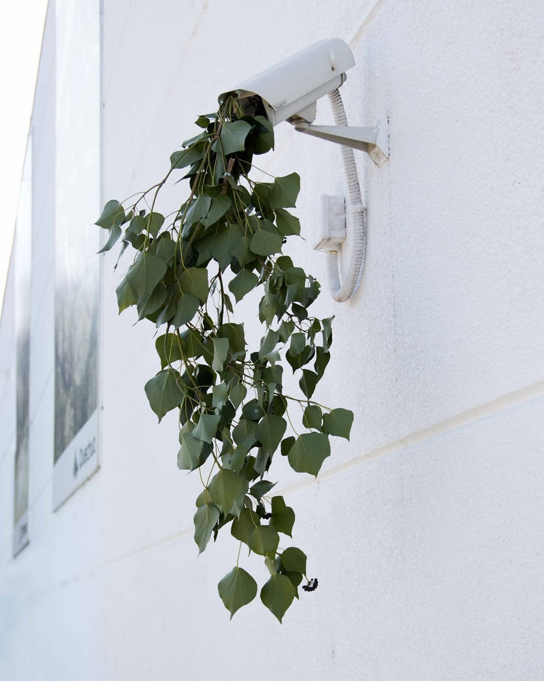 Le street art de Octavi Serra Le street art de Octavi Serra 7 Le-street-art-de-Octavi-Serra-7