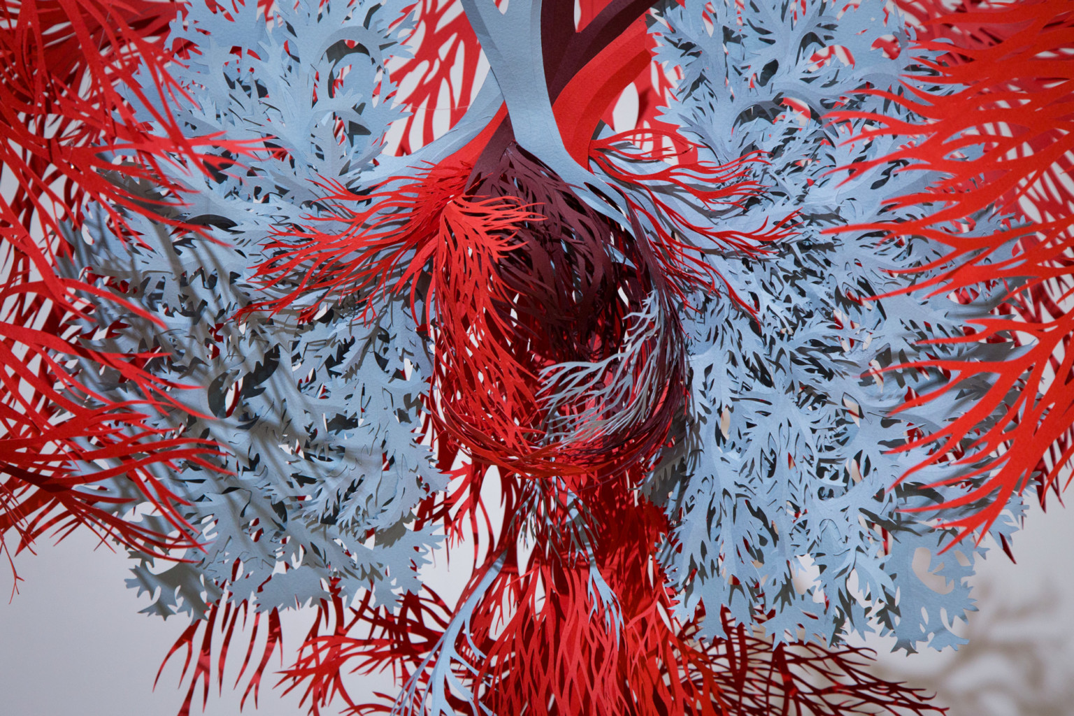 Anatomic - une interpretation du système circulatoire en papier découpé par Andy Singleton Anatomic une interpretation du systeme circulatoire en papier decoupe par Andy Singleton 2 Anatomic-une-interpretation-du-systeme-circulatoire-en-papier-decoupe-par-Andy-Singleton-2