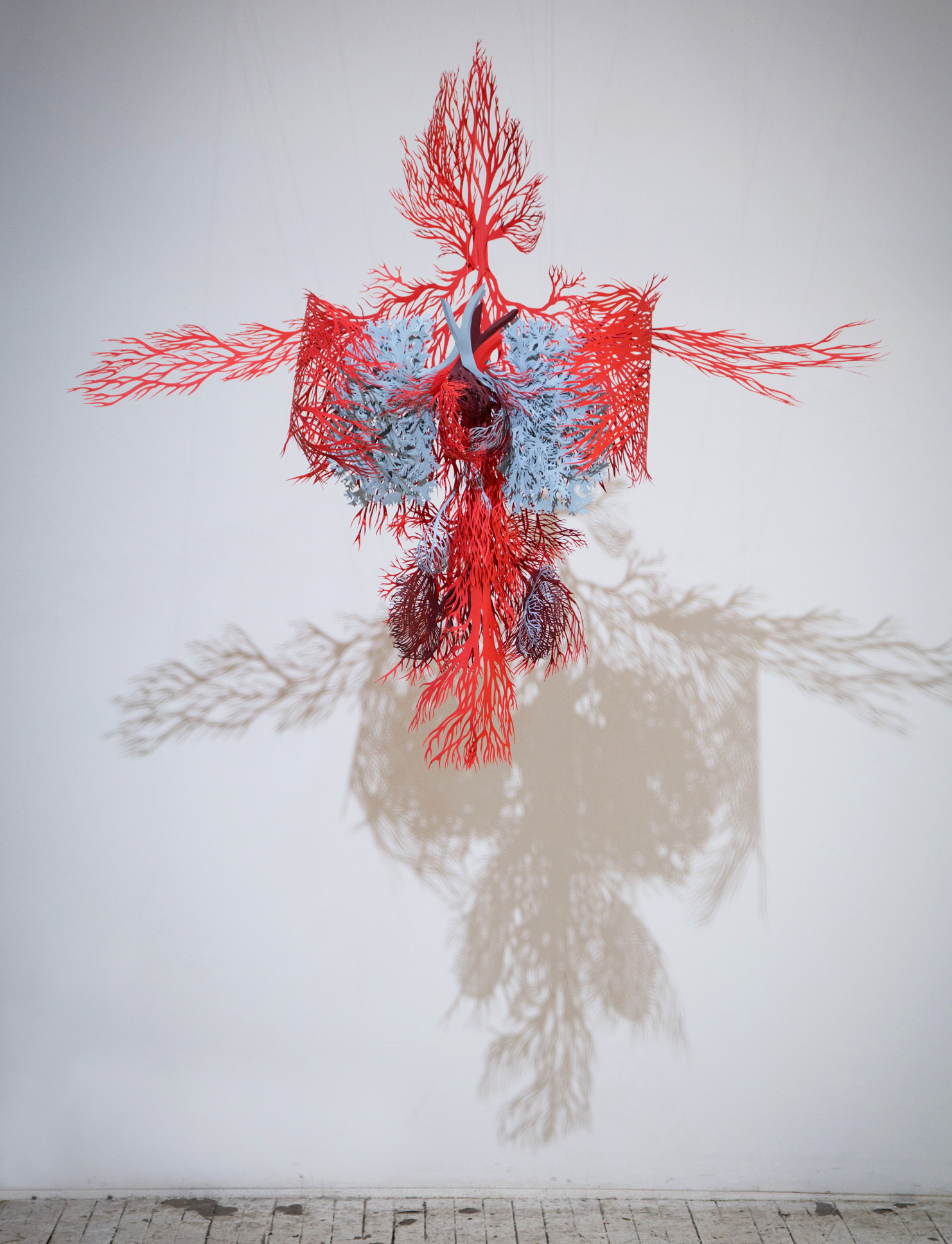 Anatomic - une interpretation du système circulatoire en papier découpé par Andy Singleton Anatomic une interpretation du systeme circulatoire en papier decoupe par Andy Singleton 4 Anatomic-une-interpretation-du-systeme-circulatoire-en-papier-decoupe-par-Andy-Singleton-4