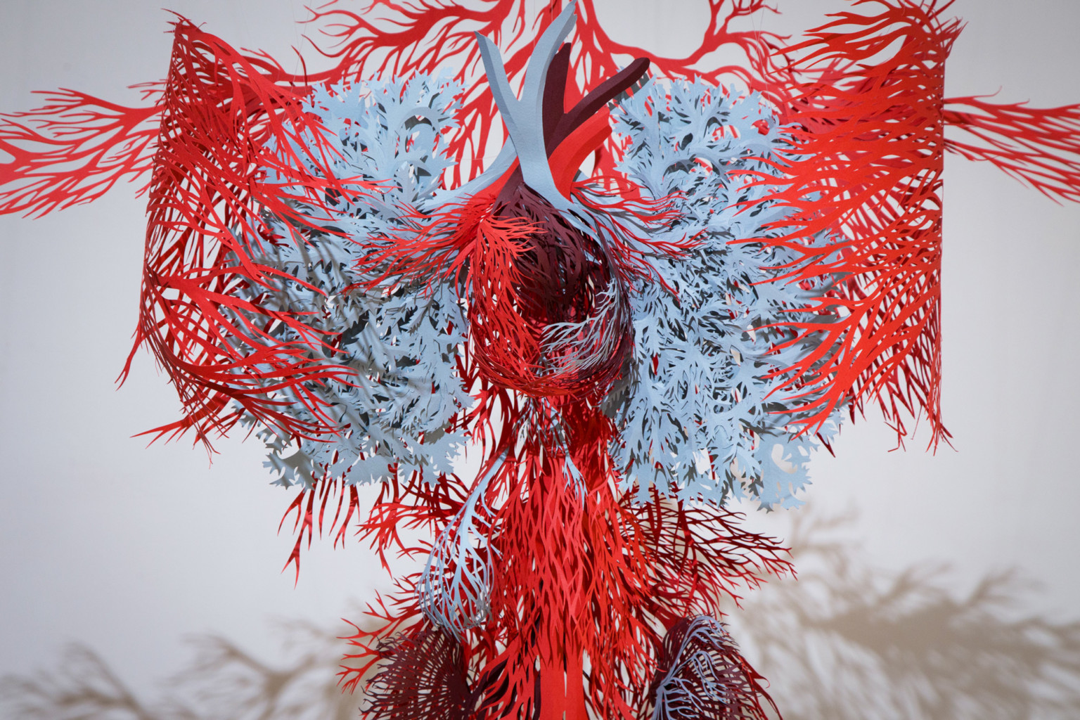 Anatomic - une interpretation du système circulatoire en papier découpé par Andy Singleton Anatomic une interpretation du systeme circulatoire en papier decoupe par Andy Singleton 5 Anatomic-une-interpretation-du-systeme-circulatoire-en-papier-decoupe-par-Andy-Singleton-5