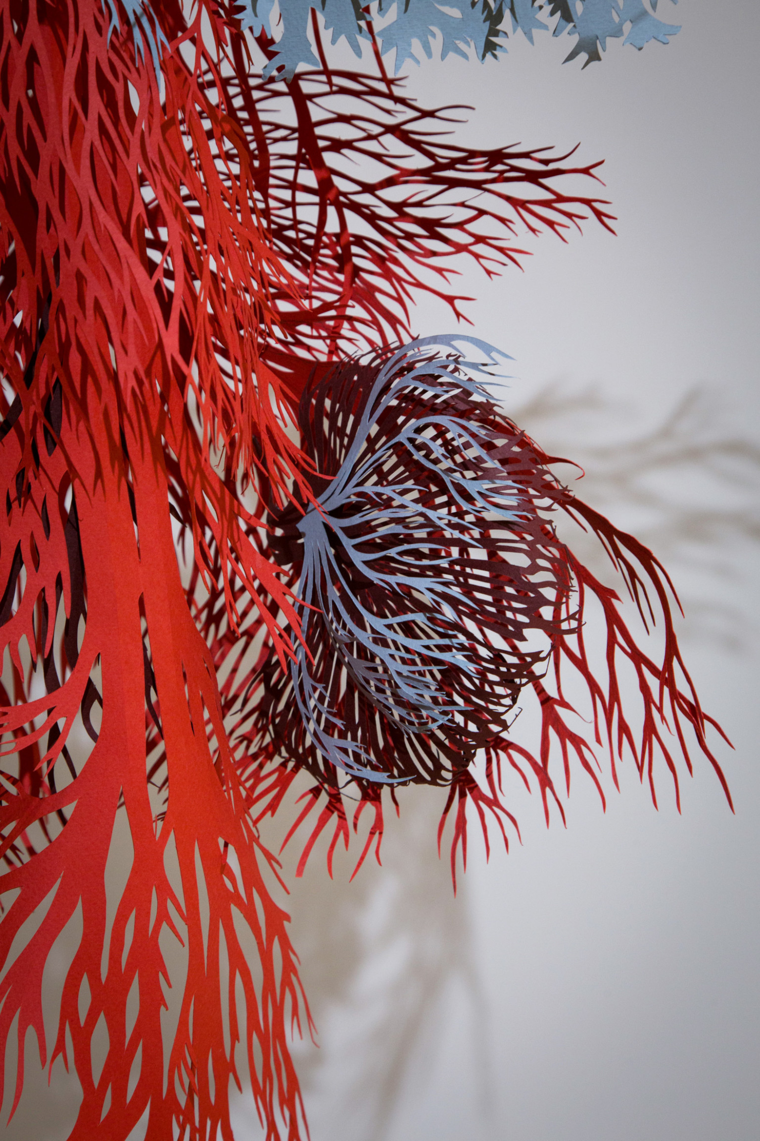 Anatomic - une interpretation du système circulatoire en papier découpé par Andy Singleton Anatomic une interpretation du systeme circulatoire en papier decoupe par Andy Singleton 6 Anatomic-une-interpretation-du-systeme-circulatoire-en-papier-decoupe-par-Andy-Singleton-6