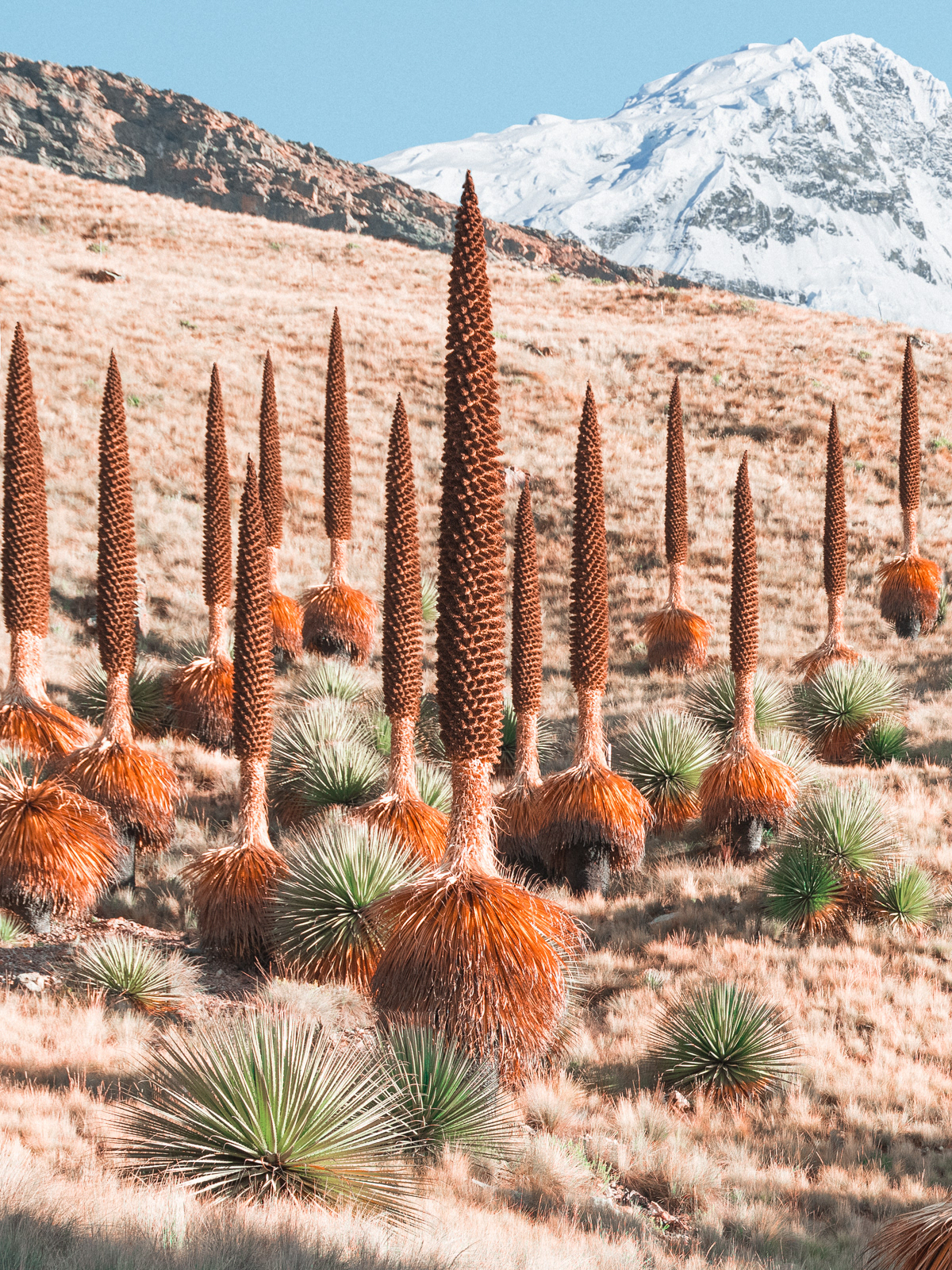 An uncommon place - les paysages étranges du monde par Reuben Wu An uncommon place les paysages etranges du monde par Reuben Wu 5 An-uncommon-place-les-paysages-etranges-du-monde-par-Reuben-Wu-5