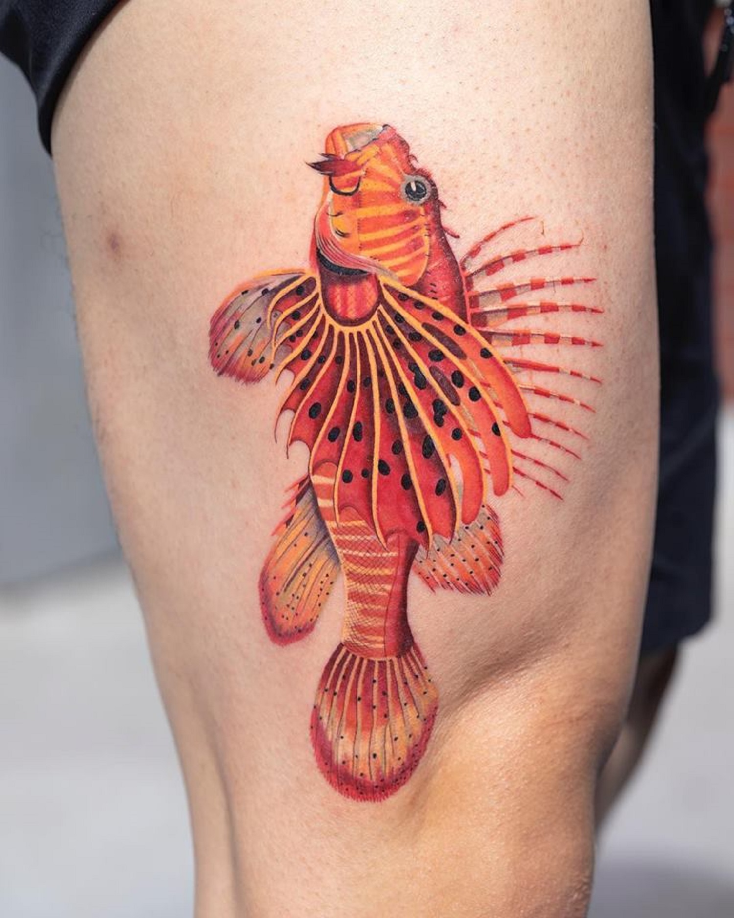 les tatouages d'animaux colorés de zihee les tatouages d animaux colores de zihee 6 poisson les-tatouages-d-animaux-colores-de-zihee-6-poisson