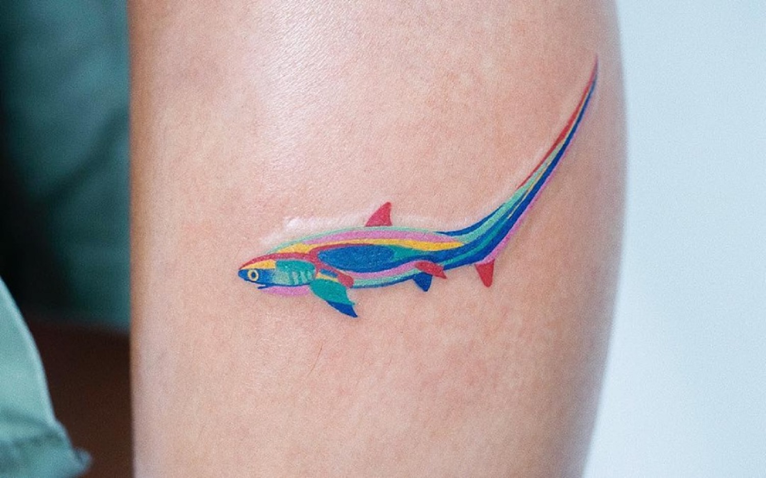 les tatouages d'animaux colorés de zihee les tatouages d animaux colores de zihee 8 requin les-tatouages-d-animaux-colores-de-zihee-8-requin
