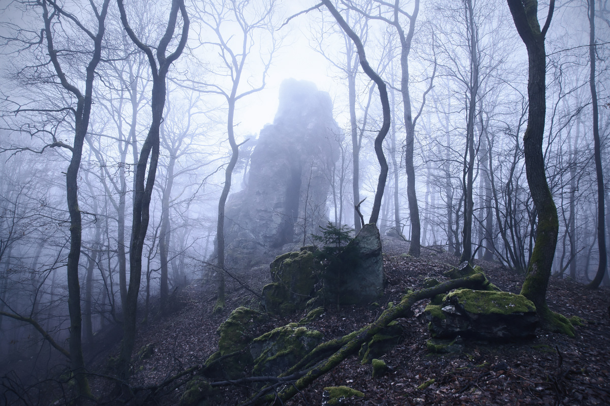 Winter is coming - hommage à Game of Thrones par Kilian Schönberger Winter is coming hommage a Game of Thrones par Kilian Schonberger 10 Winter-is-coming-hommage-a-Game-of-Thrones-par-Kilian-Schonberger-10