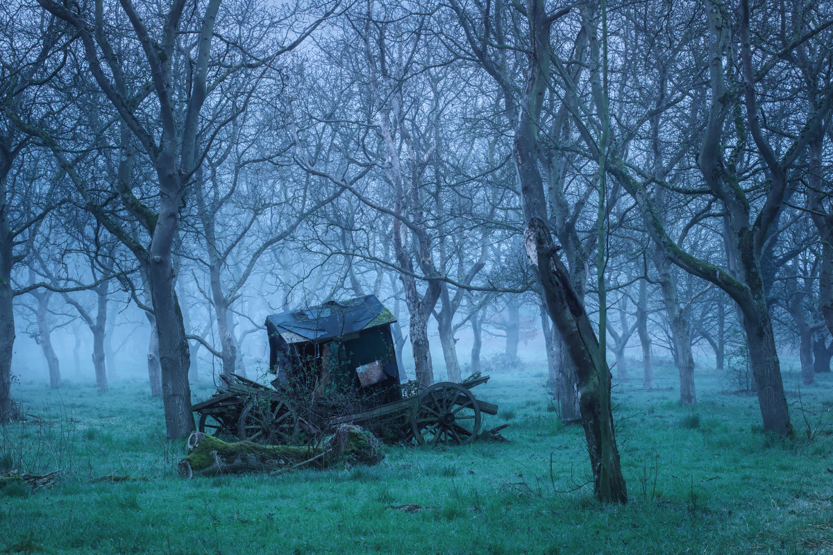 Winter is coming - hommage à Game of Thrones par Kilian Schönberger Winter is coming hommage a Game of Thrones par Kilian Schonberger 14 Winter-is-coming-hommage-a-Game-of-Thrones-par-Kilian-Schonberger-14