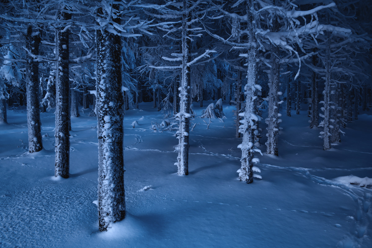 Winter is coming - hommage à Game of Thrones par Kilian Schönberger Winter is coming hommage a Game of Thrones par Kilian Schonberger 5 Winter-is-coming-hommage-a-Game-of-Thrones-par-Kilian-Schonberger-5