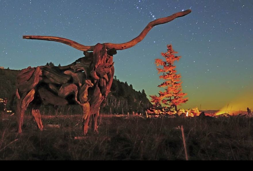 20 nouvelles et magnifiques sculptures de bois flotté par Jeffro Uitto 30 nouvelles et magnifiques sculptures de bois flotte par Jeffro Uitto 11 30-nouvelles-et-magnifiques-sculptures-de-bois-flotte-par-Jeffro-Uitto-11