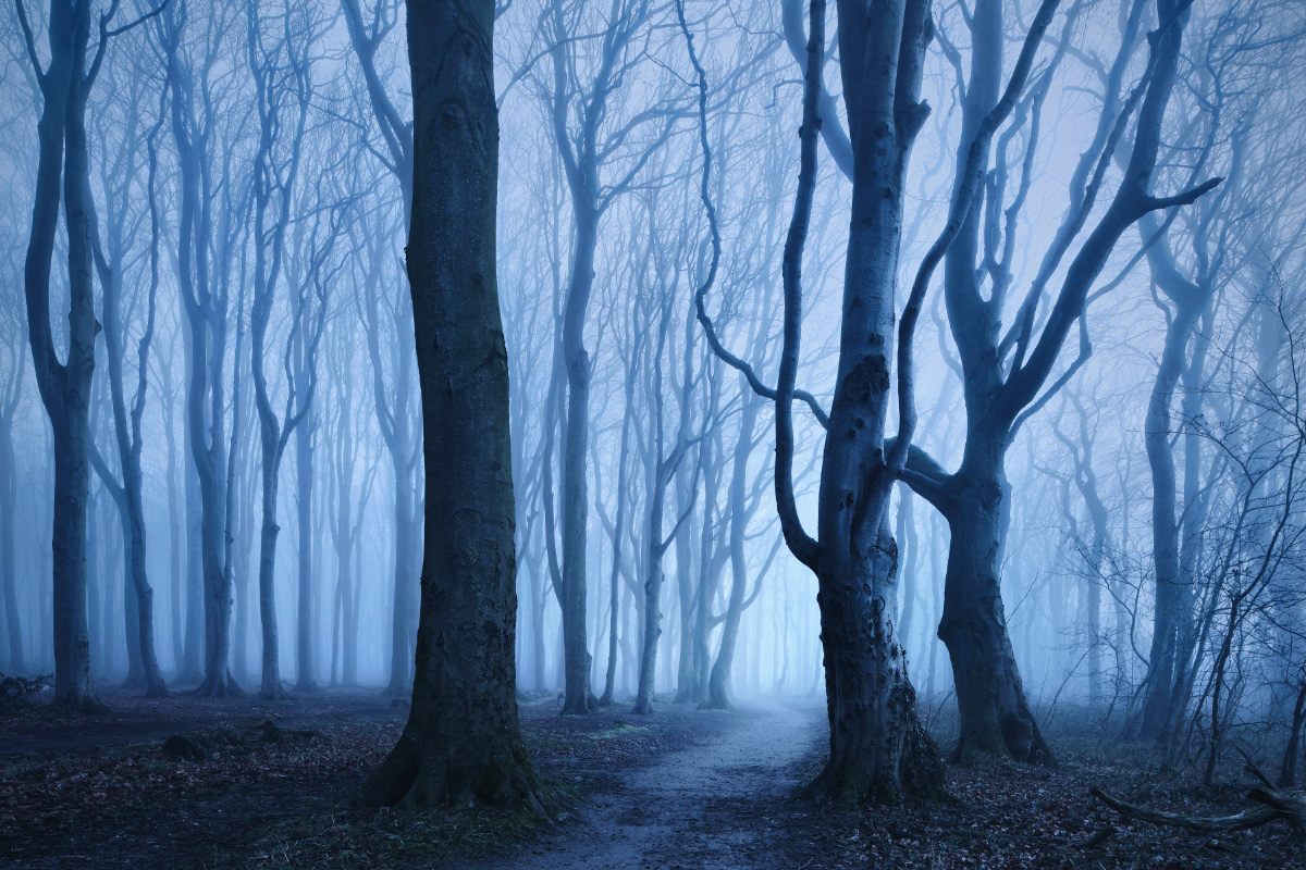 The blue border - La phase bleue entre le jour et la nuit par Kilian Schönberger The blue border La phase bleue entre le jour et la nuit par Kilian Schonberger 10 The-blue-border-La-phase-bleue-entre-le-jour-et-la-nuit-par-Kilian-Schonberger-10