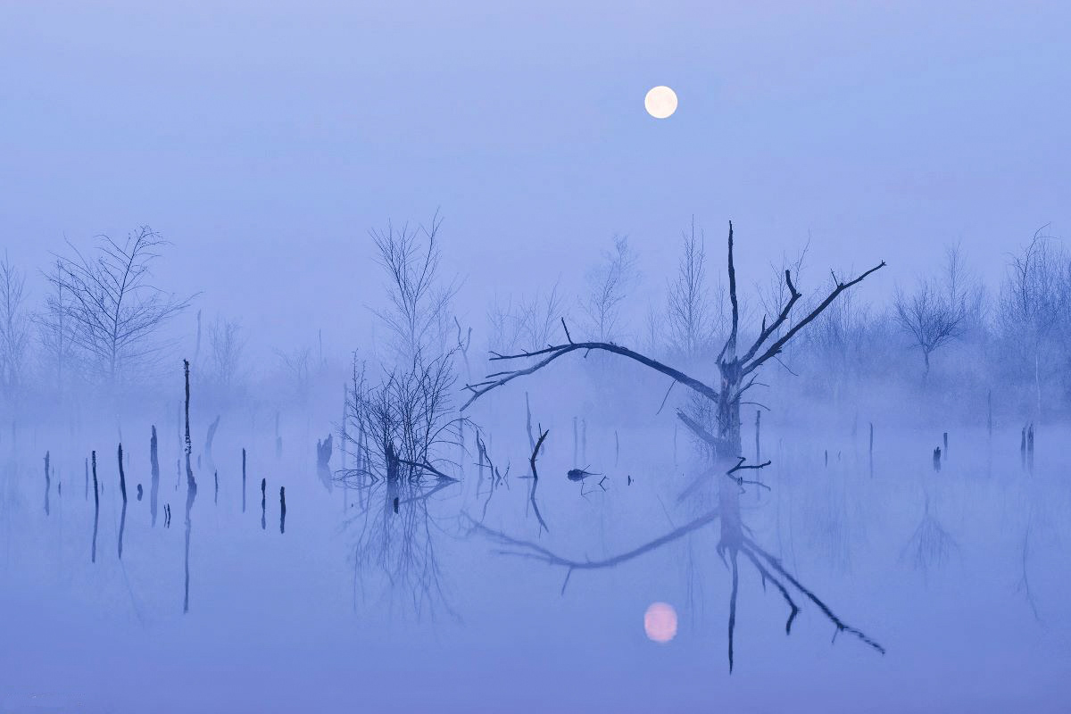 The blue border - La phase bleue entre le jour et la nuit par Kilian Schönberger The blue border La phase bleue entre le jour et la nuit par Kilian Schonberger 11 The-blue-border-La-phase-bleue-entre-le-jour-et-la-nuit-par-Kilian-Schonberger-11