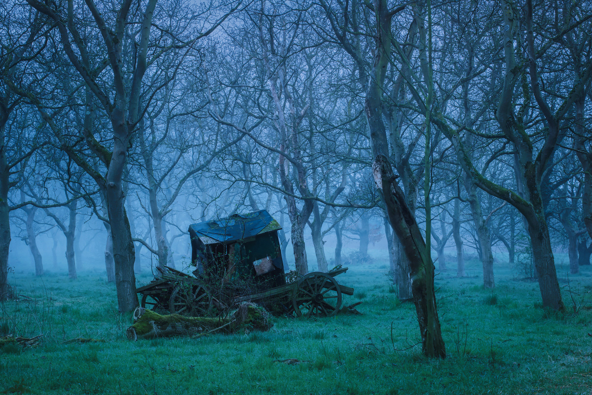 The blue border - La phase bleue entre le jour et la nuit par Kilian Schönberger The blue border La phase bleue entre le jour et la nuit par Kilian Schonberger 3 The-blue-border-La-phase-bleue-entre-le-jour-et-la-nuit-par-Kilian-Schonberger-3