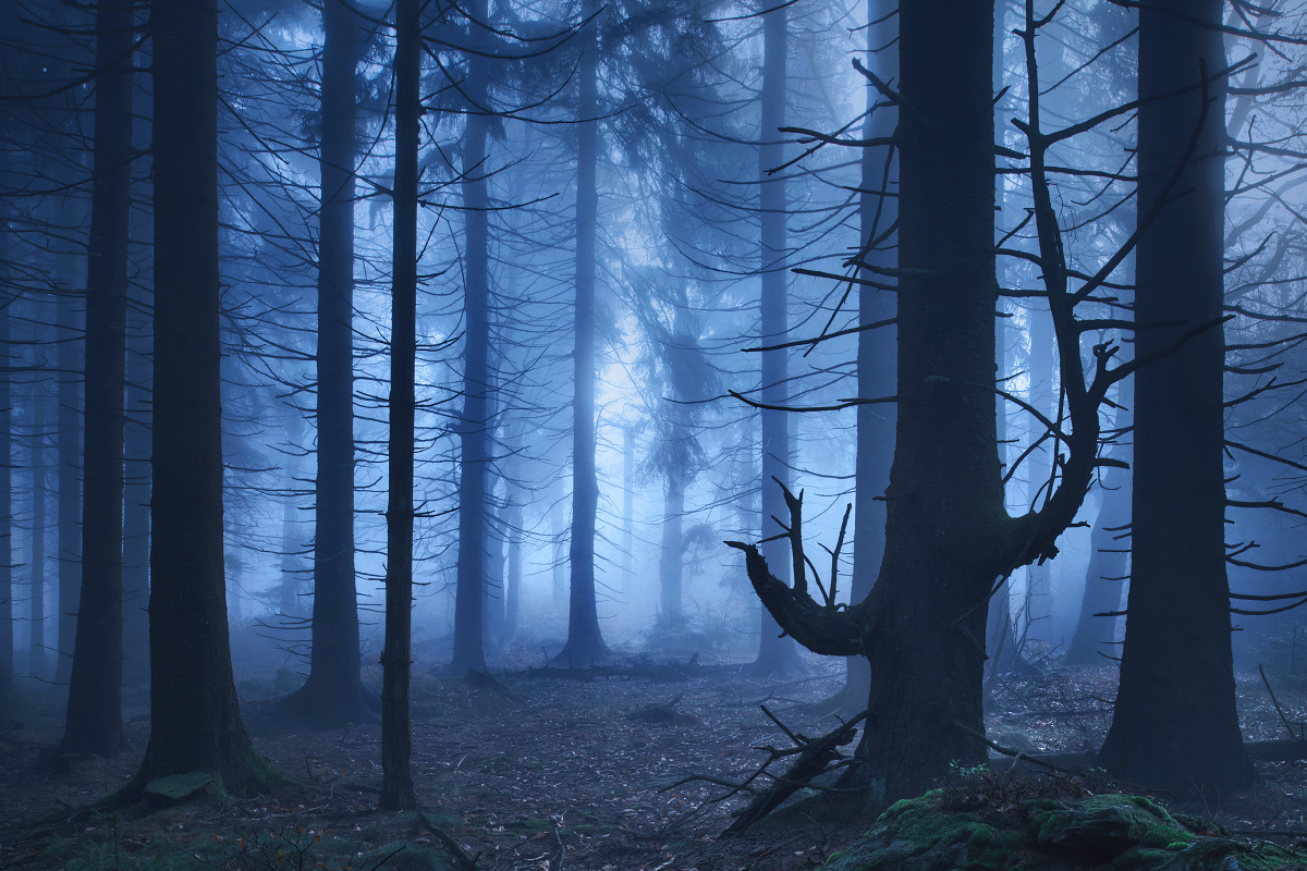 The blue border - La phase bleue entre le jour et la nuit par Kilian Schönberger The blue border La phase bleue entre le jour et la nuit par Kilian Schonberger 6 The-blue-border-La-phase-bleue-entre-le-jour-et-la-nuit-par-Kilian-Schonberger-6